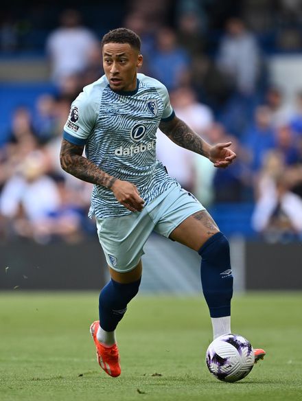 Marcus Tavernier photo