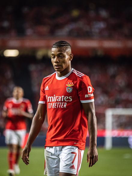 Дэвид Нерес photo