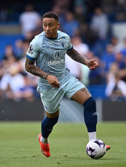 Marcus Tavernier photo