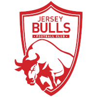 Toros de jersey logo