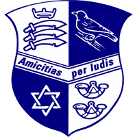 team logo