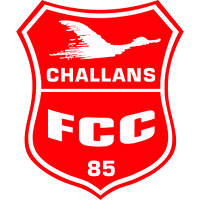 ФК Шалан logo