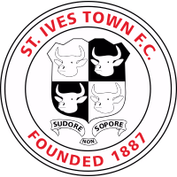 team logo