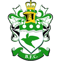 team logo