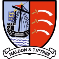 team logo