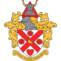 team logo