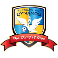 Aylesbury Vale Dynamos FC logo