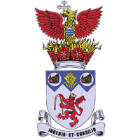 team logo