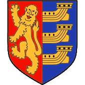 team logo