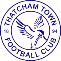Тэтчем Таун logo