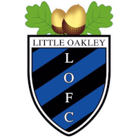 team logo