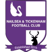 Nailsea y Tickenham FC logo