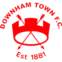 team logo